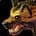 Ferocity